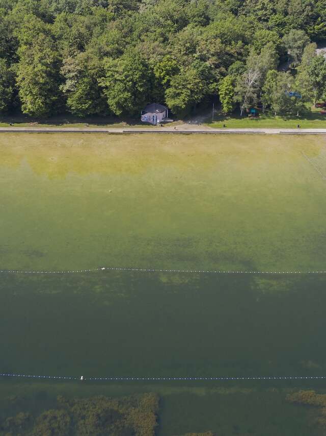 Plage de la Presqu'île de Larzicourt