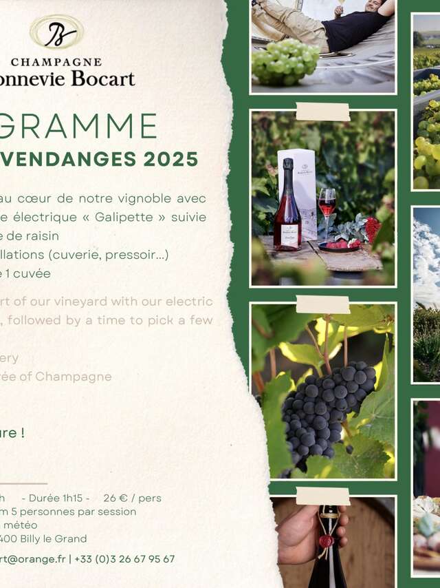 Champagne Bonnevie-Bocart - Balade en voiturette électrique spéciale vendanges