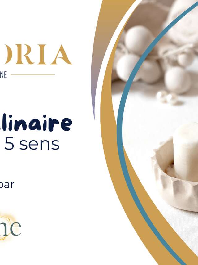 Vignobles en Scène : Voyage culinaire sensoriel chez Pressoria x Auxine Studio