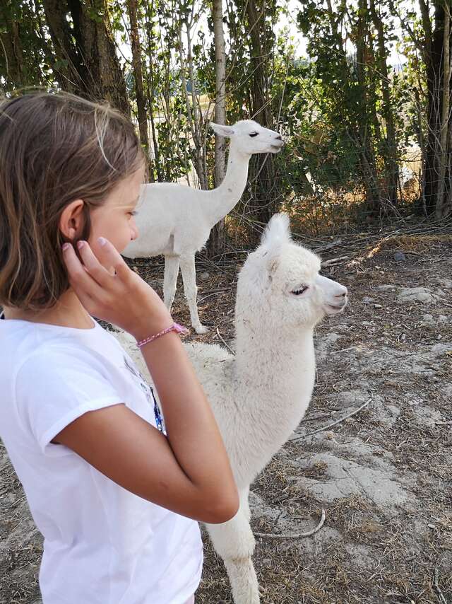 Ferme Pédagogique du Grand Der