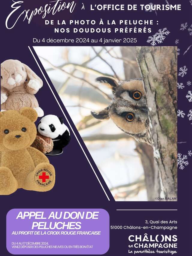 Exposition : De la photo à la peluche, nos doudous préférés