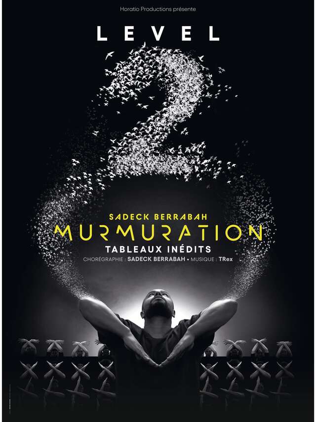 Spectacle : Murmuration - Level 2