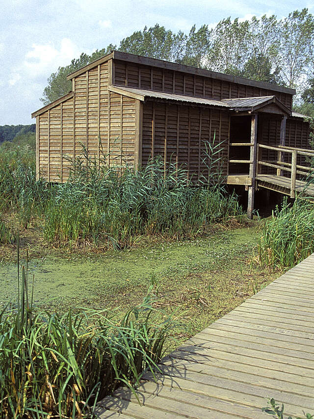 Observatoire ornithologique de l'Etang des Landres