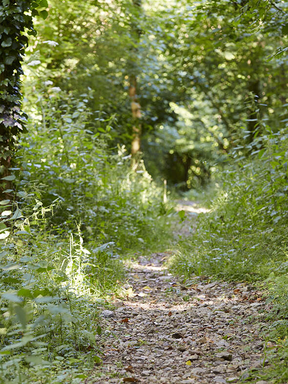 Une nature sauvage parmi nous