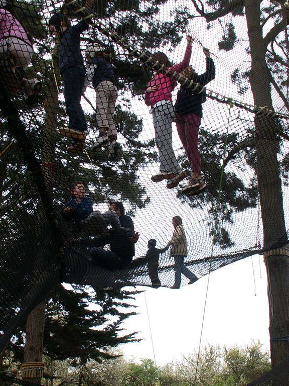 Parc d'aventure - Parcabout chien noir