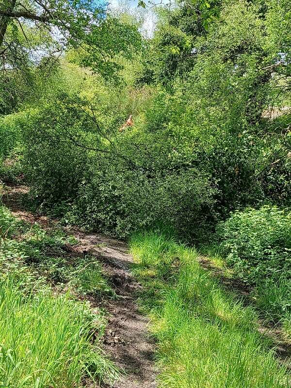 Circuit des villages