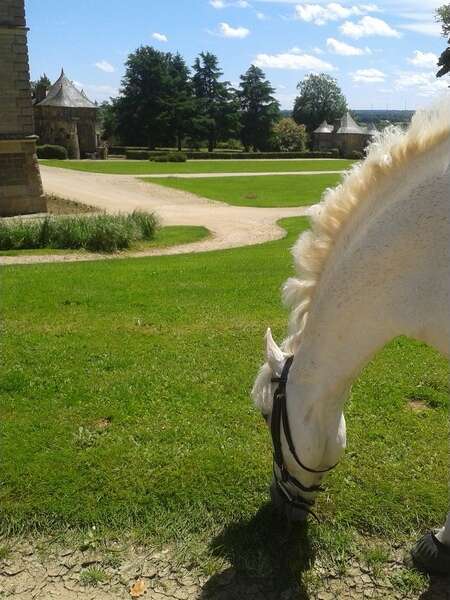 Haras de la Bourdonnaye