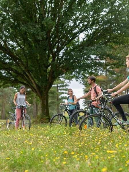 Voie Verte Médréac > Mauron > Ploërmel > Questembert