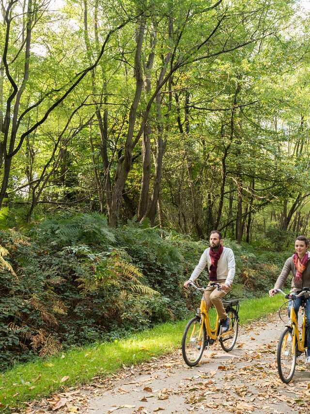 VP 42 - Landes et menhir à Monteneuf