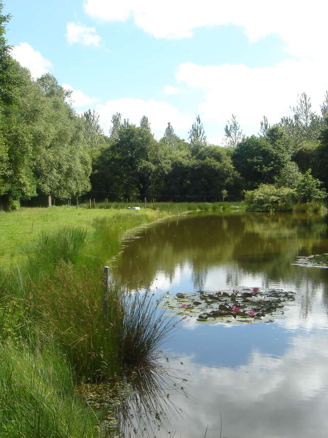 17. Circuit des étangs du Taulo
