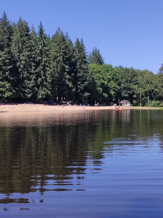 Etang de la Forêt