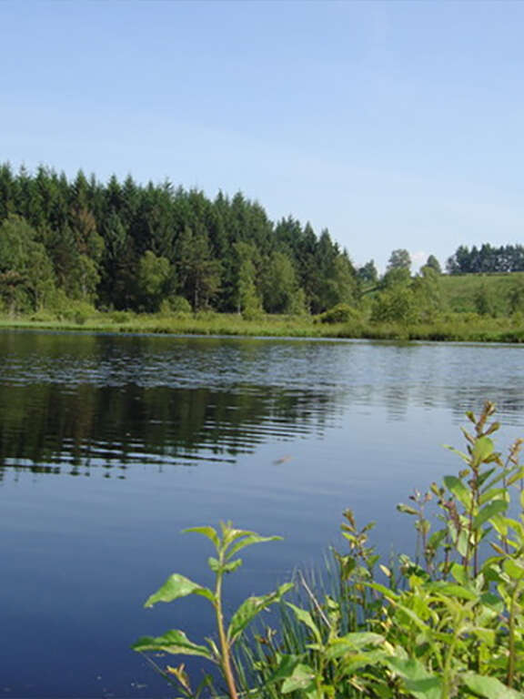 Circuit du lac de Faux