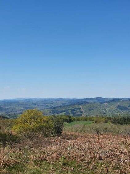 Patrimoine et forêt du Limousin