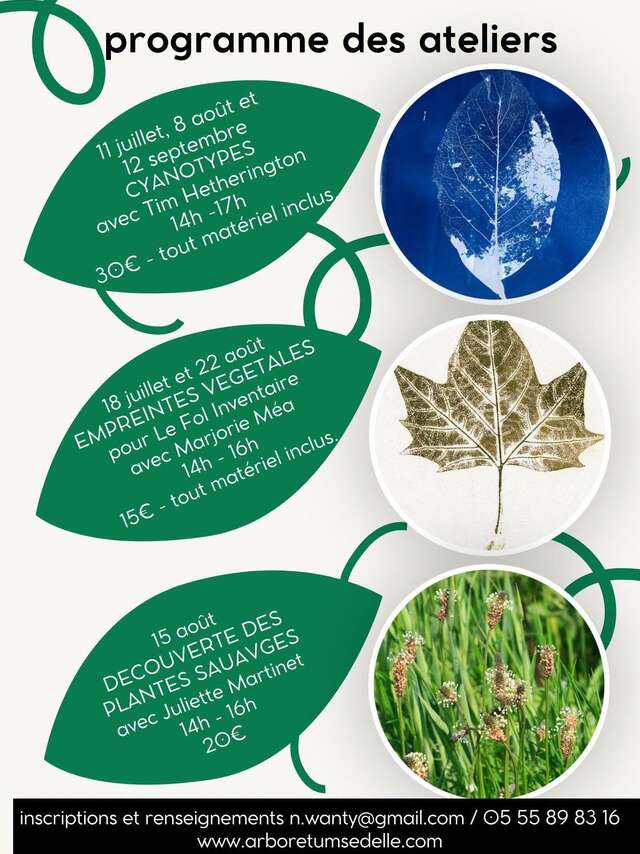 Découverte des plantes sauvages
