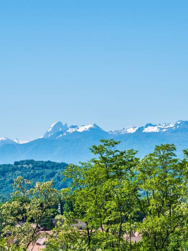 Poey-de-Lescar - Chemin de Malapet