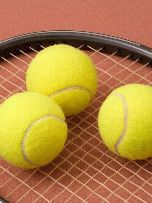 Tournoi de tennis homologué par la fédération française de tennis
