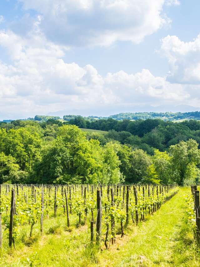 Saint-Faust - Vallée de la Juscle