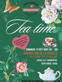 Tea time