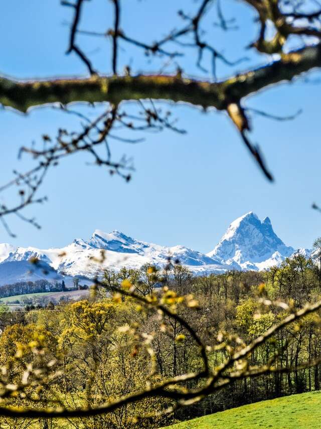 Gan - Coteau de Bastarrous