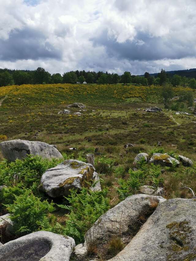 La Tourbière de la Mazure