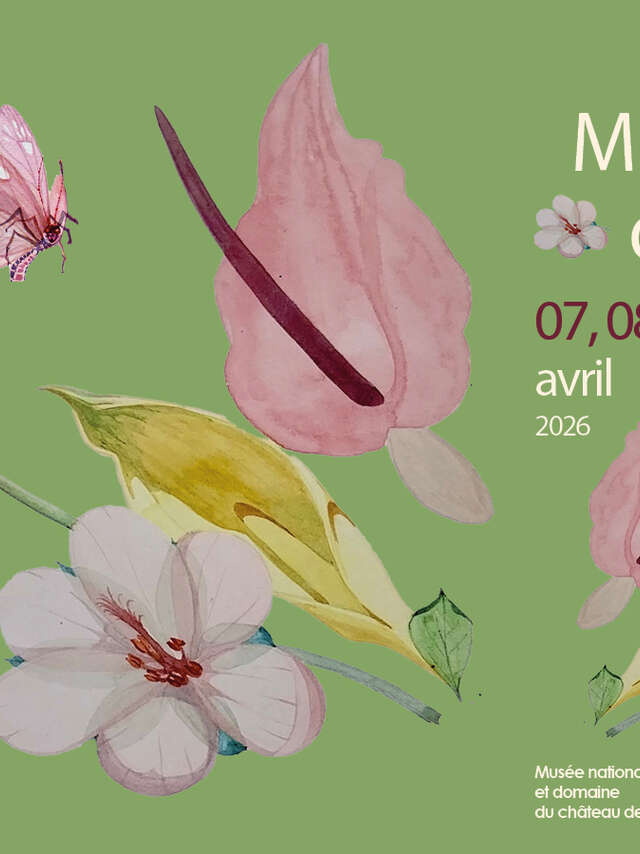 Mon jardin de papier