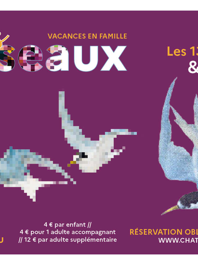 Drôles d'oiseaux