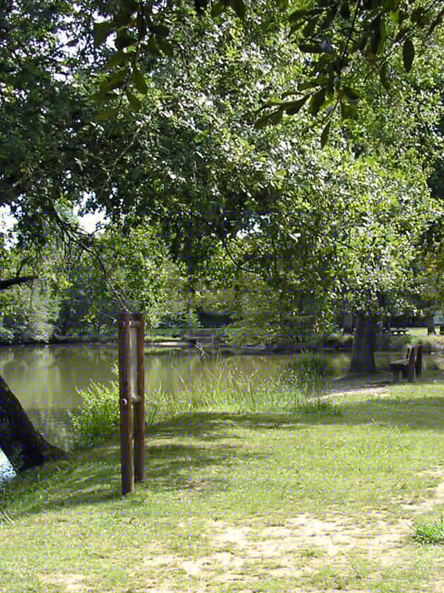 Balade à Roulette n°2 le lac des Carolins à Lescar