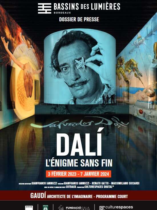 Sortie Bassins de Lumières - Dali et Gaudi