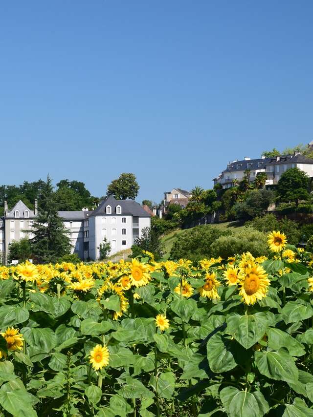Lescar - Cité et nature