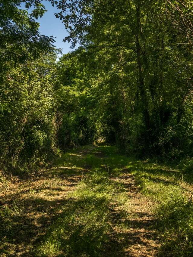 Aussevielle - Boucle de la ligne vieille