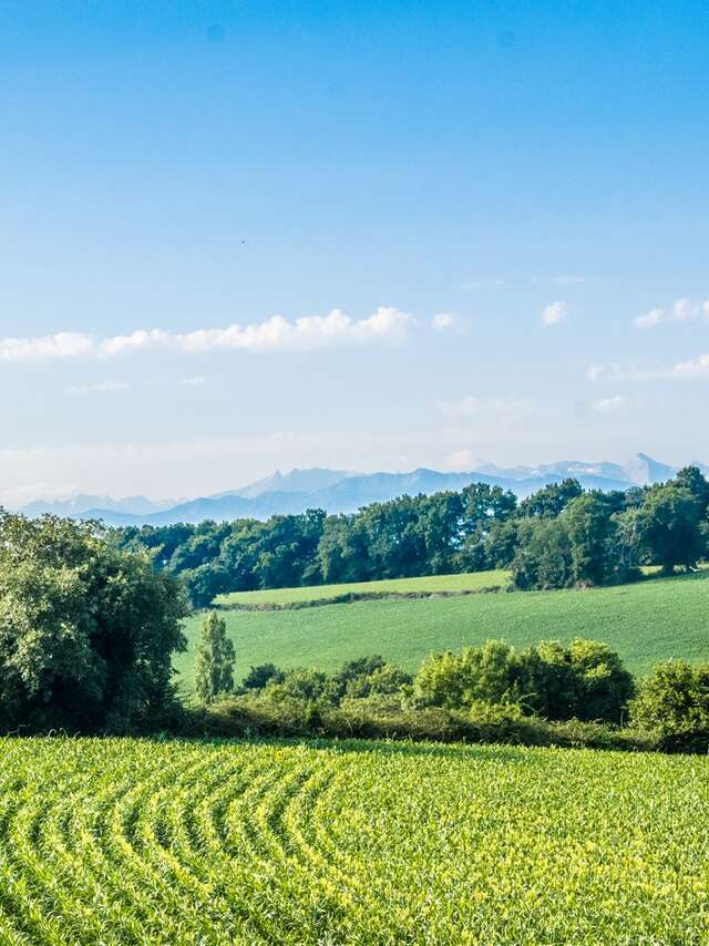 Beyrie-en-Béarn - Promenade autour de Beyrie