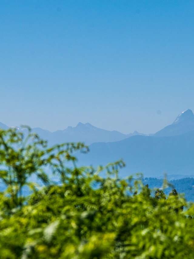 Denguin - Boucle du Trou du Loup