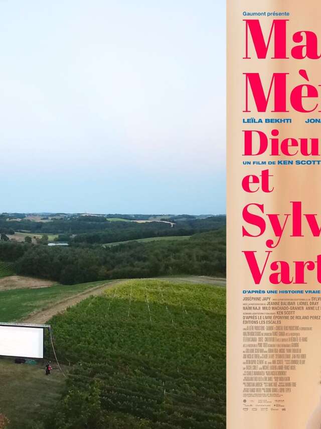 Soirée cinéma en plein air