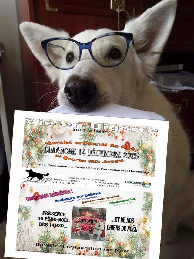 Marché de Noël et bourse aux jouets