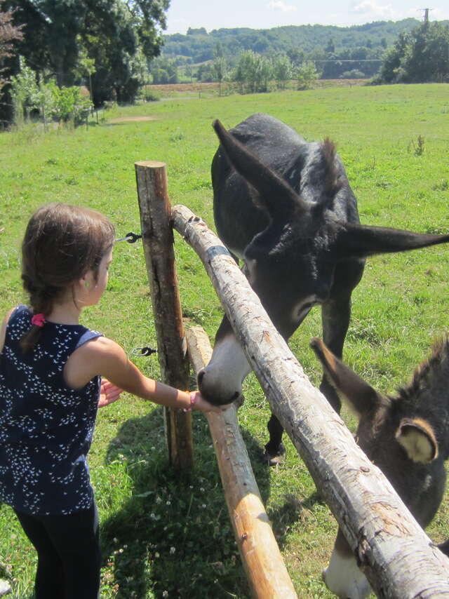 FERME PÉDAGOGIQUE DE L'AOUEILLE