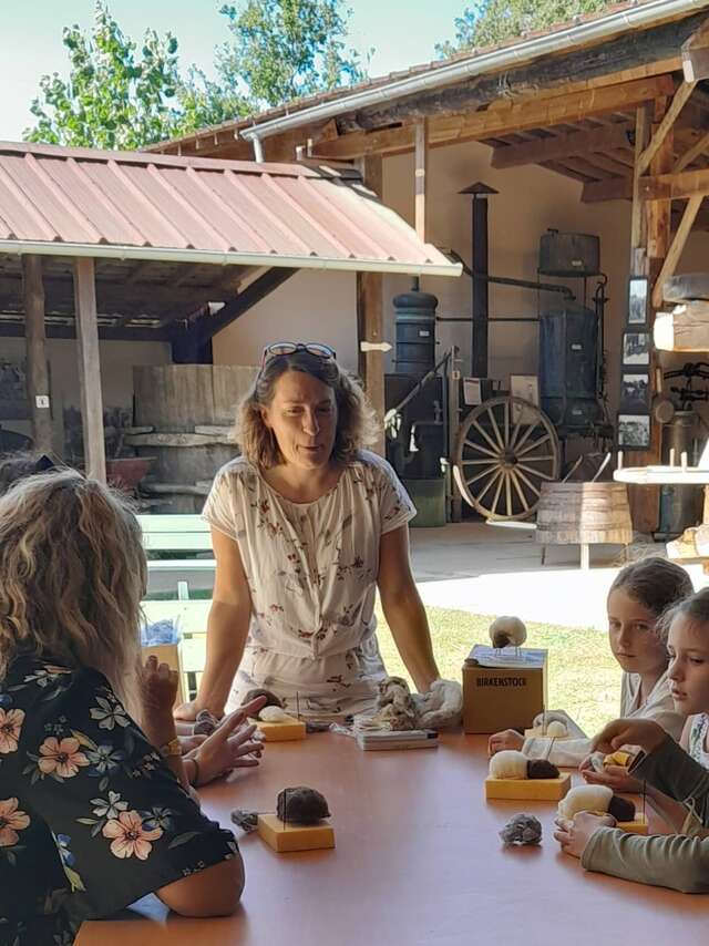 Atelier laine au Musée du Paysan Gascon