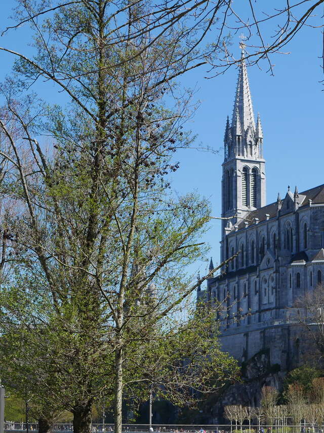 BASILIQUE DE L’IMMACULÉE CONCEPTION