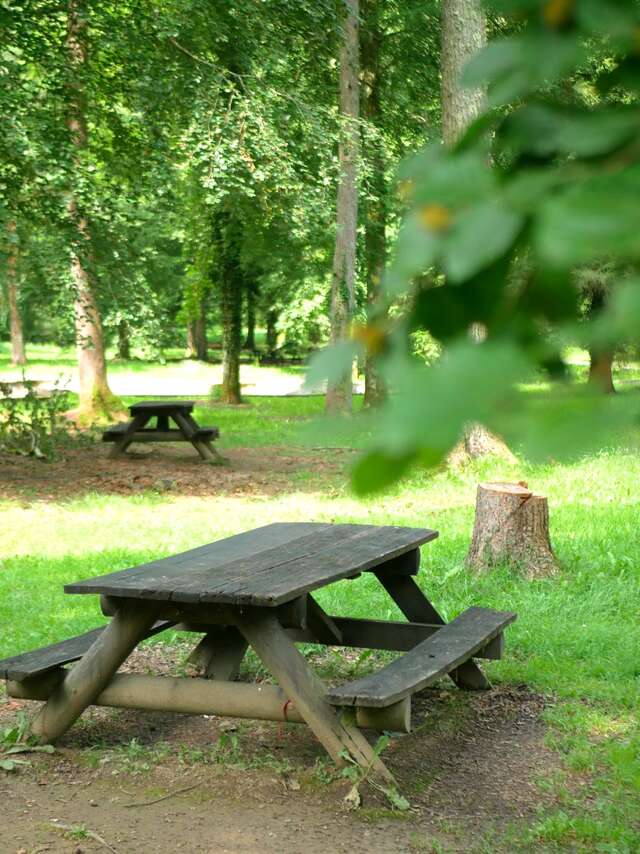 BOIS DE LOURDES OU FORET DE SUBERCARRERE