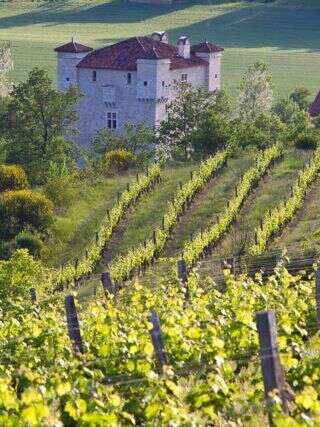 Vineart en Gascogne au Domaine de Herrebouc