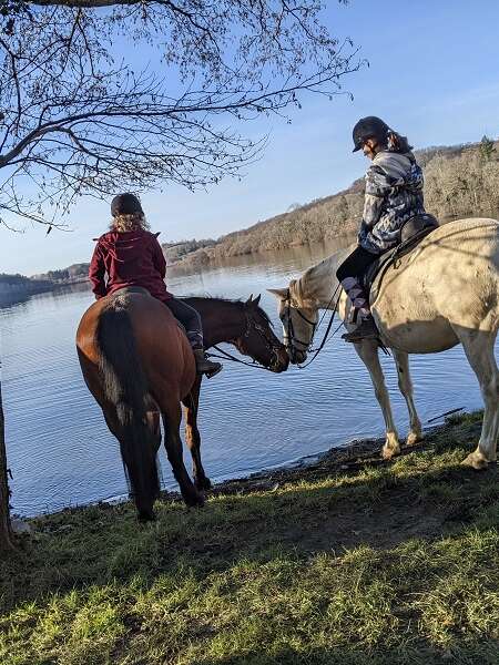 CENTRE EQUESTRE FERME ARTIGUES