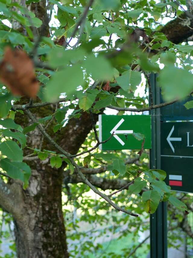 CHEMIN DE BERNADETTE VERS BARTRÈS