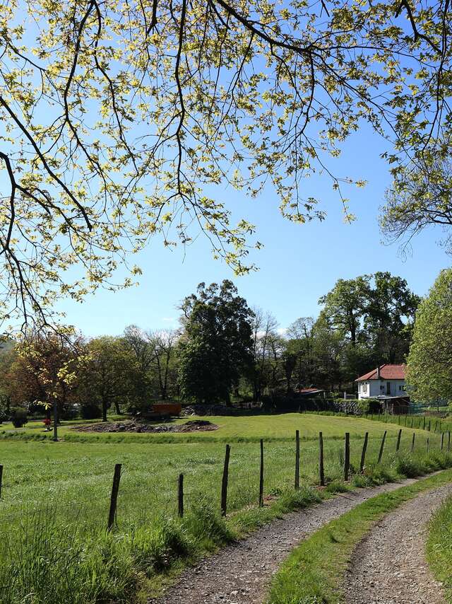 LE CHEMIN VERT