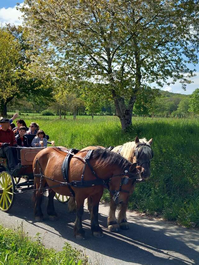 LA FERME AU BÈTH LÒC