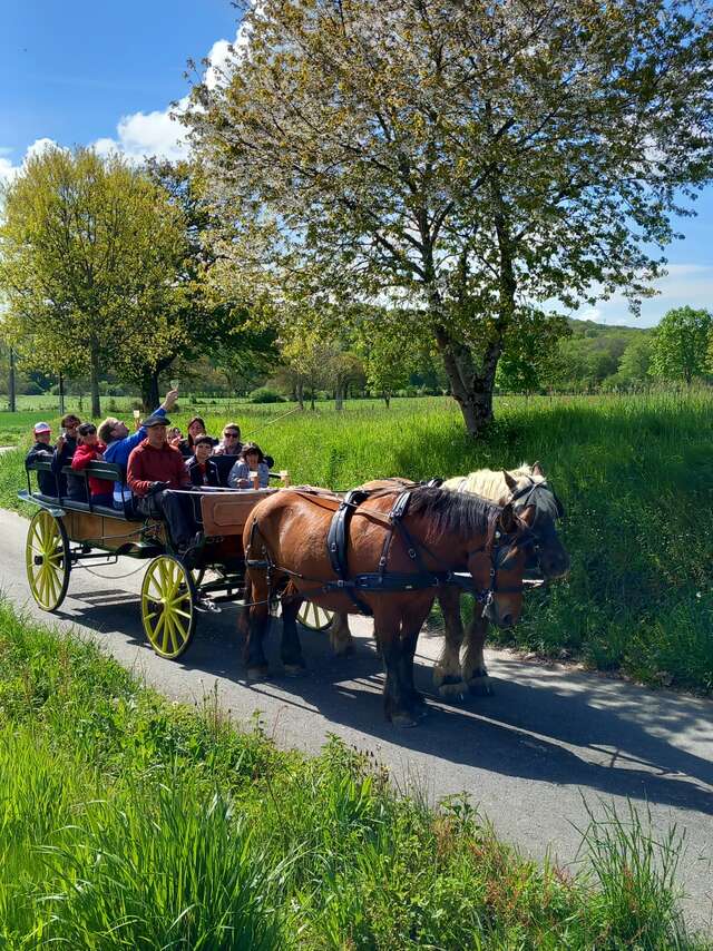 LA FERME AU BÈTH LÒC