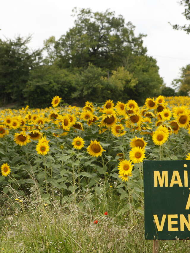 HERREMAN & CHARLES IMMOBILIER