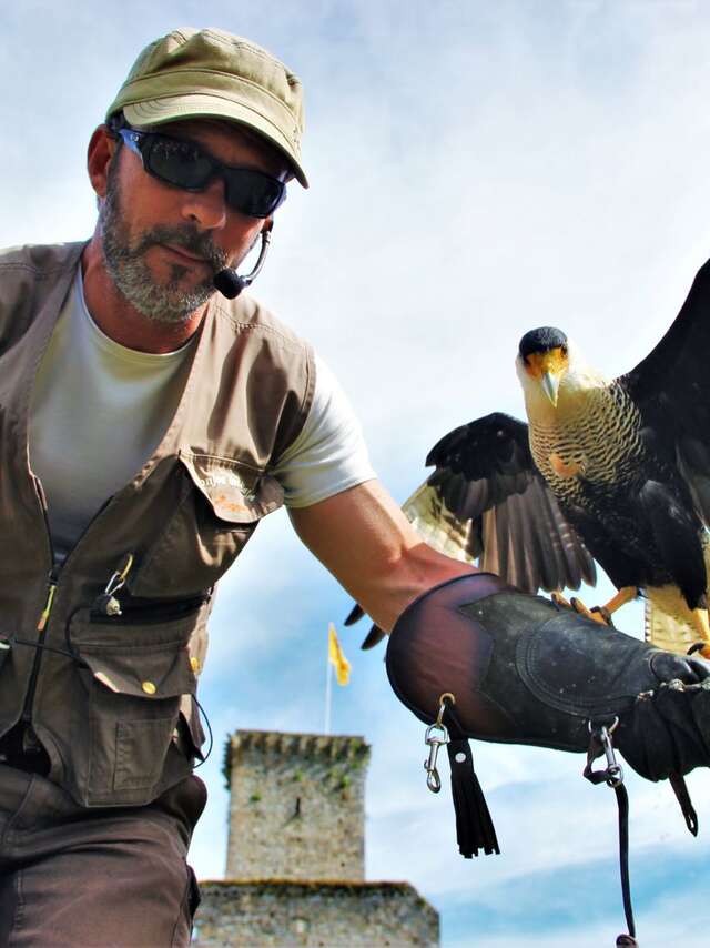 DONJON DES AIGLES