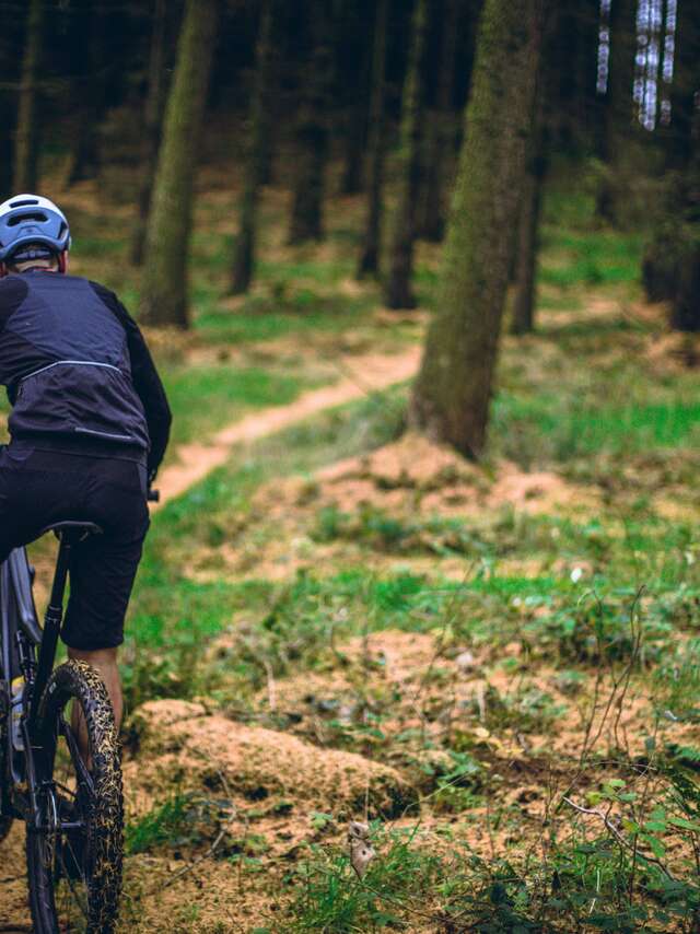 LOURDES- LA FORET DE BARTRES