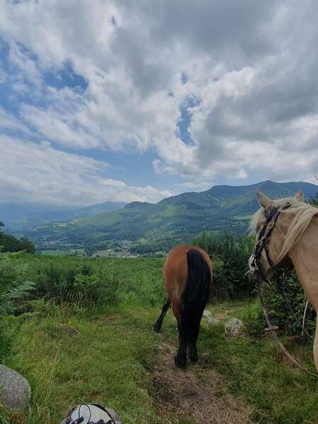 LA FERME DU PONEY FRINGUANT