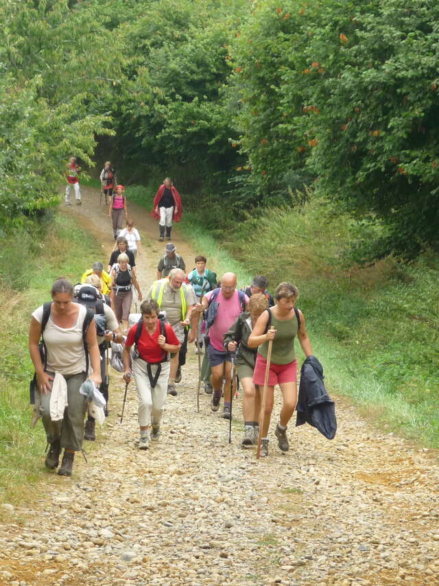 Randonnée accompagnée avec CLAP