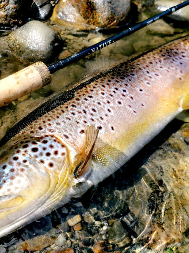 PÊCHE PASSION PYRÉNÉES